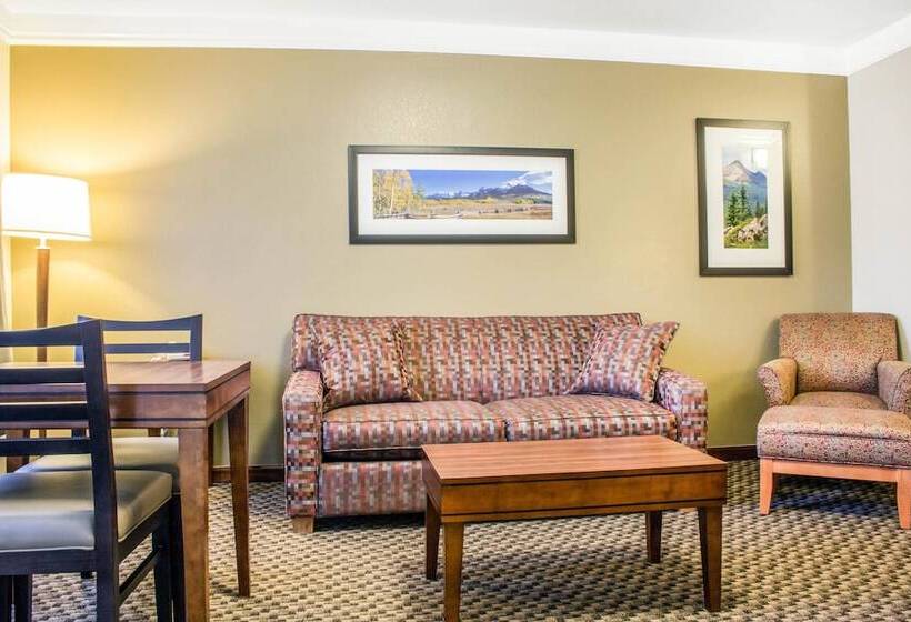 Люкс Адаптированный для Инвалидов, Comfort Inn & Suites Durango