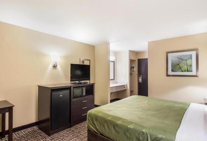 Standard Værelse King Size Seng, Quality Inn & Suites Caseyville  St. Louis