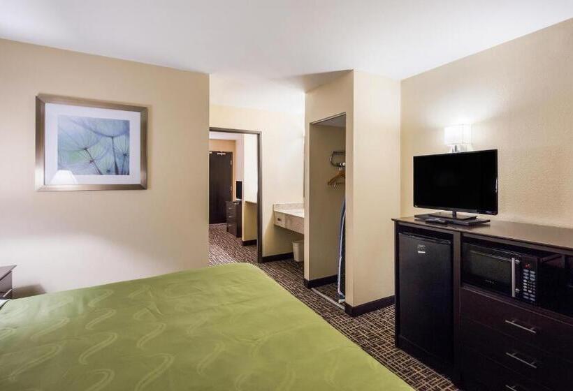 Suite King Size Seng, Quality Inn & Suites Caseyville  St. Louis