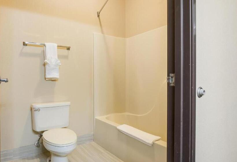 Suite King Size Seng, Quality Inn & Suites Caseyville  St. Louis