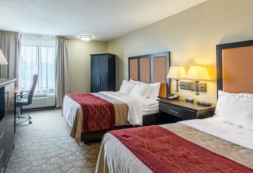 اتاق استاندارد با 2 تخت دوبل, Comfort Inn East