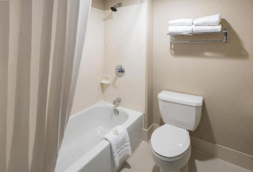 מיטת קינג בסוויטה, Spark By Hilton Denver International Airport
