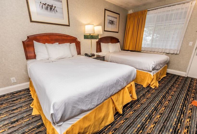 Номер Стандарт 2 Двуспальные Кровати, Pelican Inn