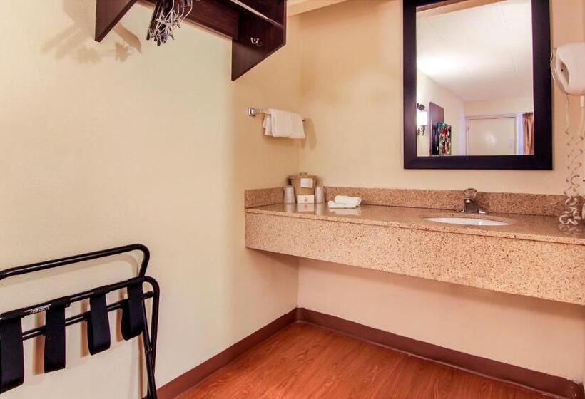 Номер Superior Кровать Кинг, Red Roof Inn Detroit  Troy