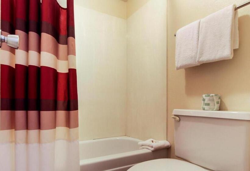 Номер Deluxe, Red Roof Inn Detroit  Troy