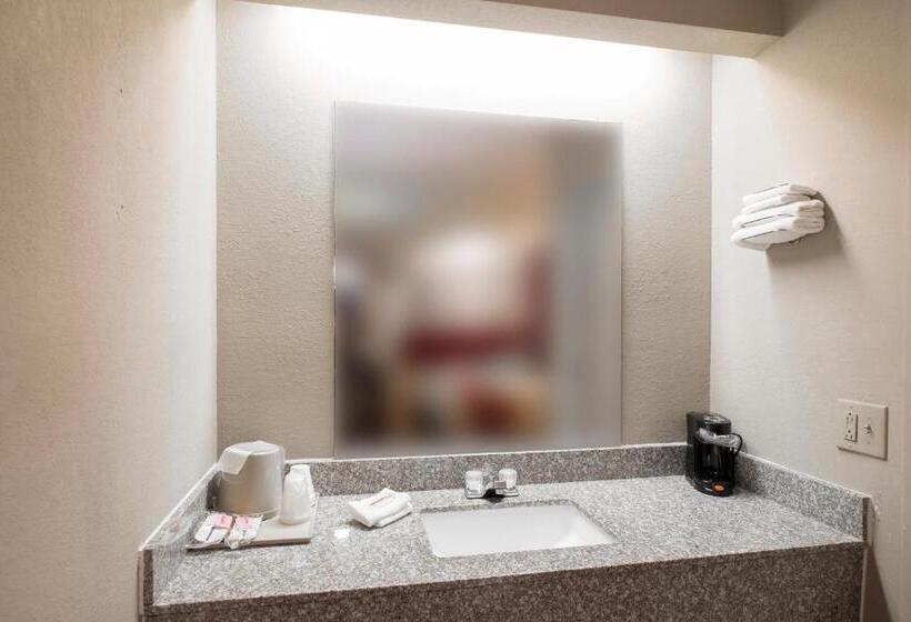 Номер Deluxe, Red Roof Inn Jackson Downtown  Fairgrounds