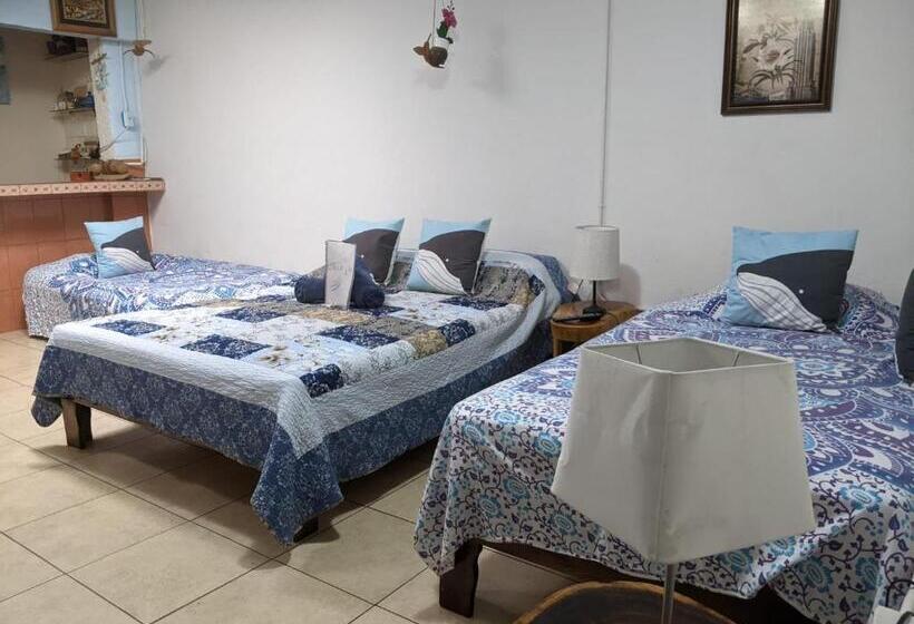 اتاق خانوادگی, Guesthouse Casa Lapa2