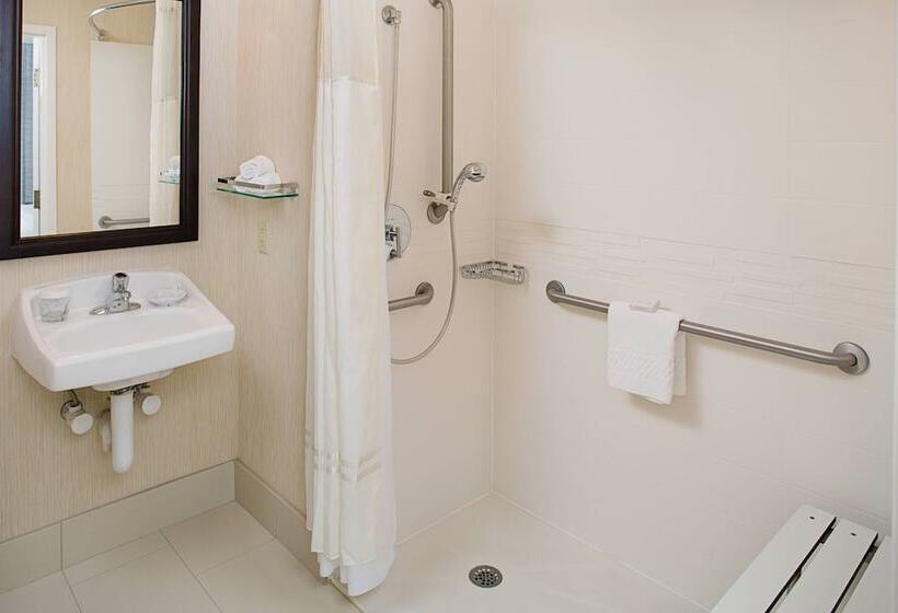 סוויטה, Residence Inn Atlanta Downtown