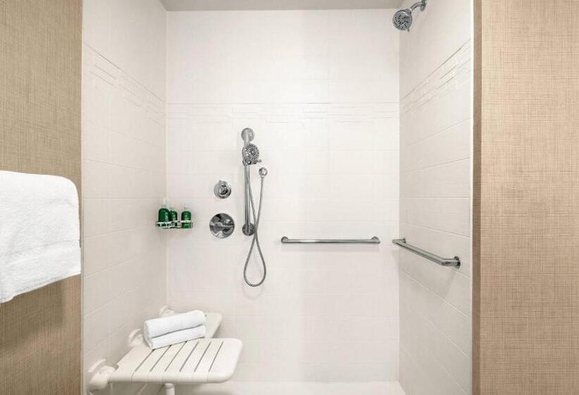 Студия Стандарт, Residence Inn Atlanta Duluth Gwinnett Place