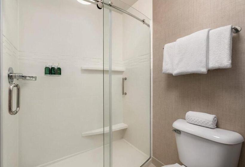 Люкс 2 Спальни, Residence Inn Atlanta Duluth Gwinnett Place