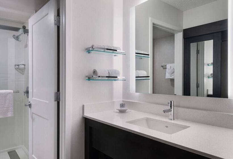 스위트, Sonesta Es Suites Parsippany Morris Plains