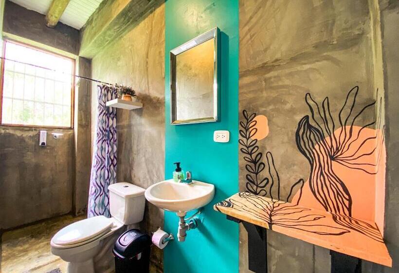공동 객실, Freesoul Hostel