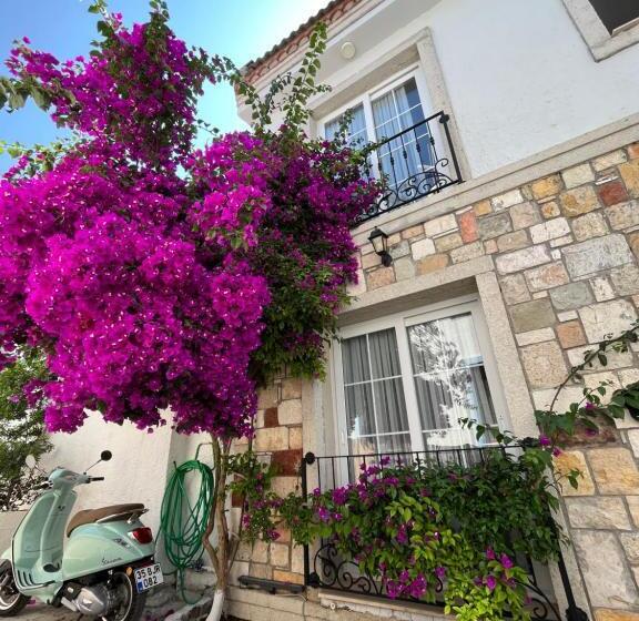 اتاق استاندارد, Villa Veria