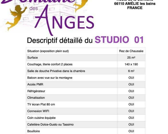 Студио Стандарт с Балконом, Domaine Des Anges