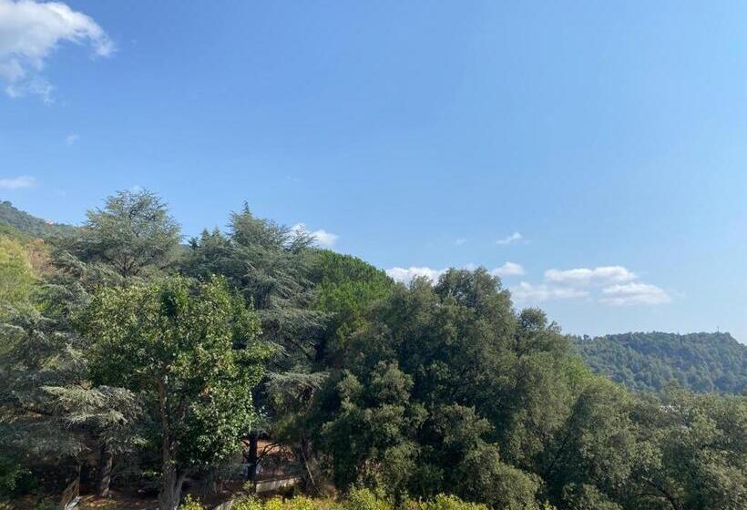 Студия Стандарт, Domaine Des Anges