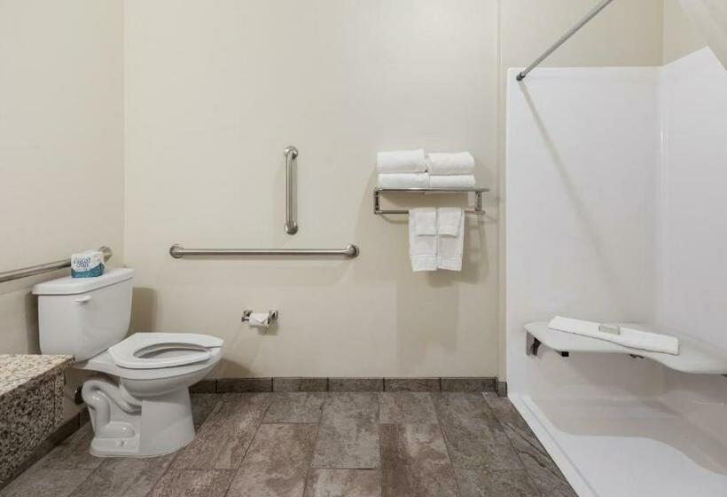 장애인을 위한 킹사이즈 침대 스탠다드 룸, Cobblestone Hotel & Suites   Two Rivers