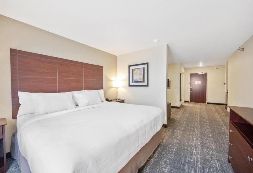 스탠다드 스튜디오, Cobblestone Hotel & Suites   Two Rivers