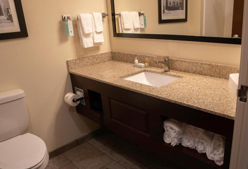 스탠다드 룸, Cobblestone Hotel & Suites   Two Rivers