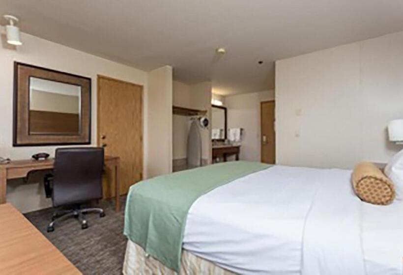 Quarto Estandar Cama King, Shilo Inn Hotel & Suites   Yuma
