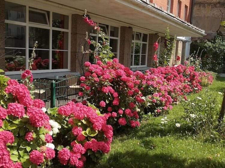 استودیو خانوادگی, Hôtel Les Jardins Dunkerque Center