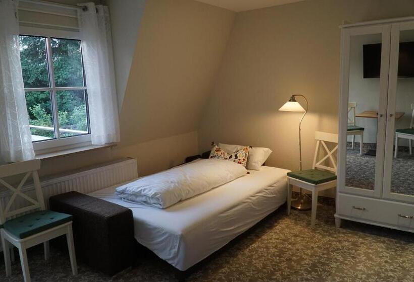 استودیو استاندارد با بالکن, Mansion