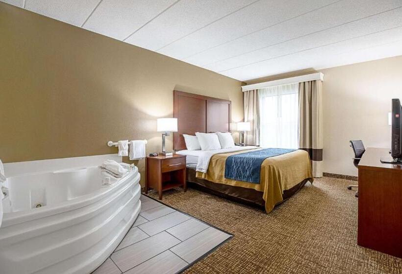 Chambre Standard Lit King Size, Comfort Inn Indianapolis North  Carmel