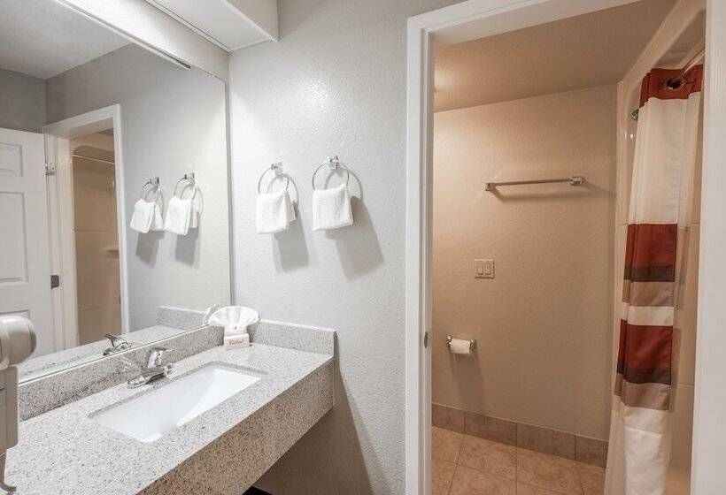Номер Стандарт 2 Двуспальные Кровати, Greentree Inn Houston Iah Airport