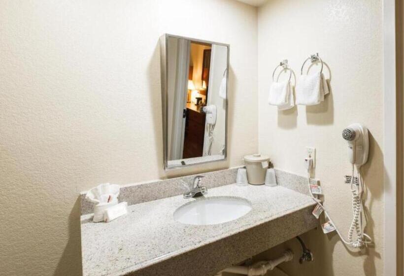 Номер Стандарт Адаптированный для Инвалидов, Greentree Inn Houston Iah Airport