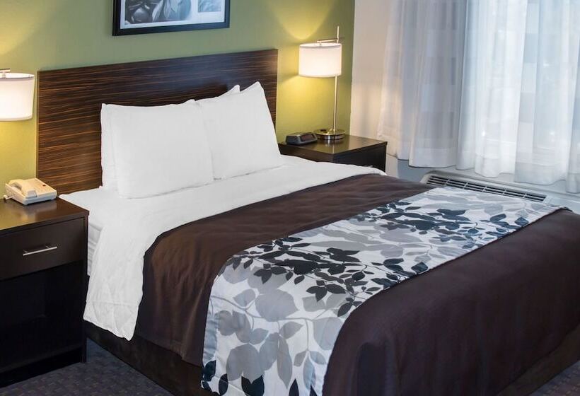 Номер Стандарт 2 Двуспальные Кровати, Sleep Inn
