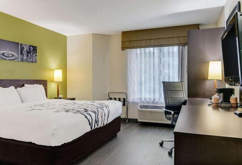 キングサイズベッドのスタンダードルーム, Sleep Inn Near I 80 And I 94