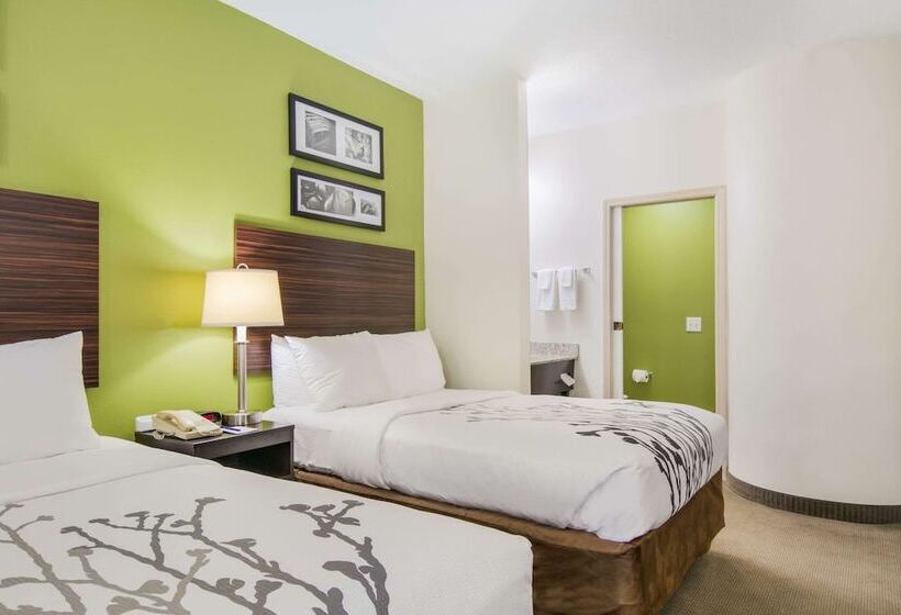 Номер Стандарт 2 Двуспальные Кровати, Sleep Inn Peachtree City   Atlanta