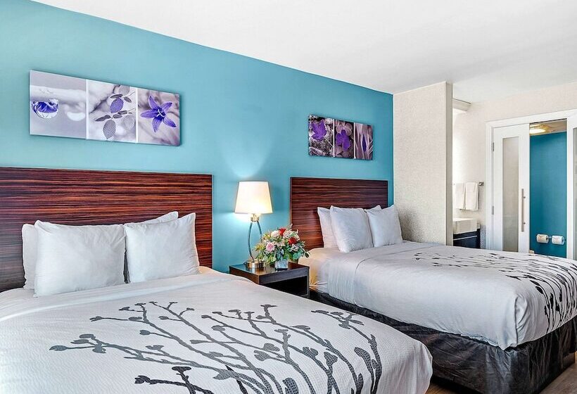 带2个双人床的标准工作室, Sleep Inn On The Beach