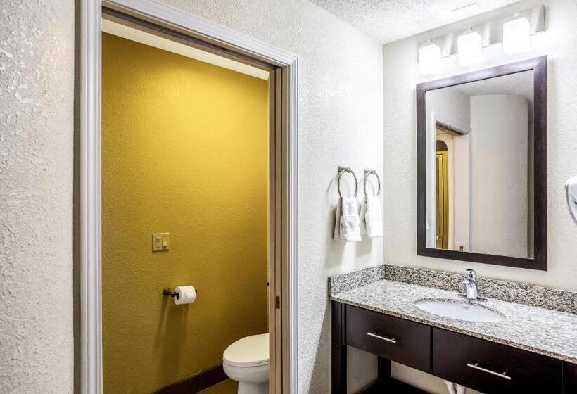 اتاق استاندارد با 2 تخت دوبل, Wingate By Wyndham Owensboro