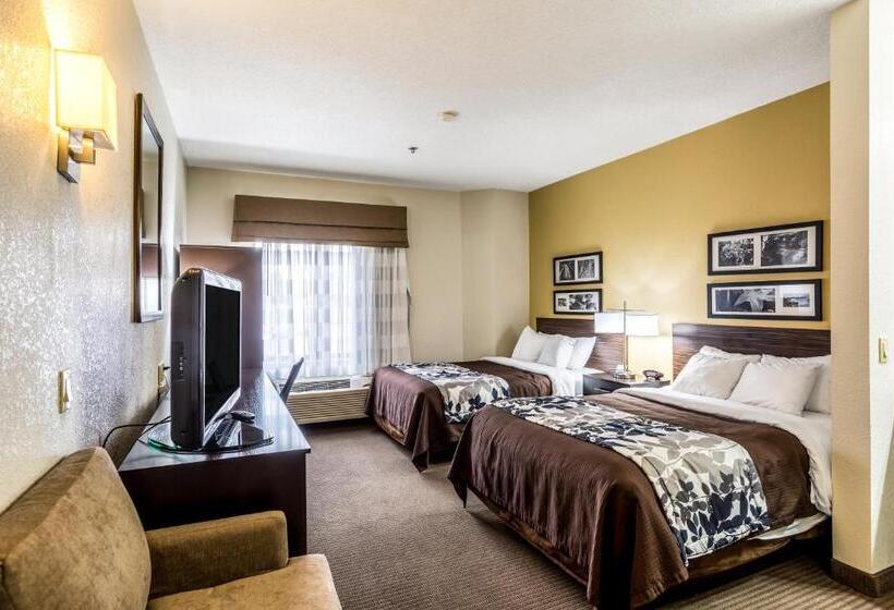 اتاق استاندارد با 2 تخت دوبل, Wingate By Wyndham Owensboro