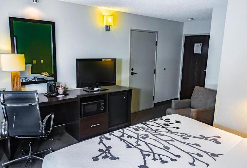 اتاق استاندارد با تخت بزرگ, Sleep Inn Pasco Tri  Cities
