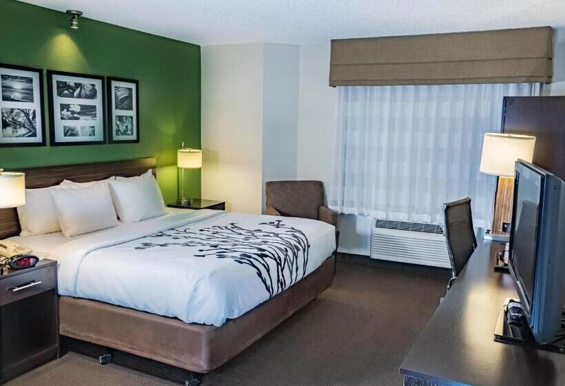 اتاق استاندارد با تخت بزرگ, Sleep Inn Pasco Tri  Cities