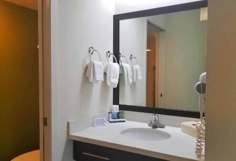 اتاق استاندارد با تخت بزرگ, Sleep Inn Pasco Tri  Cities