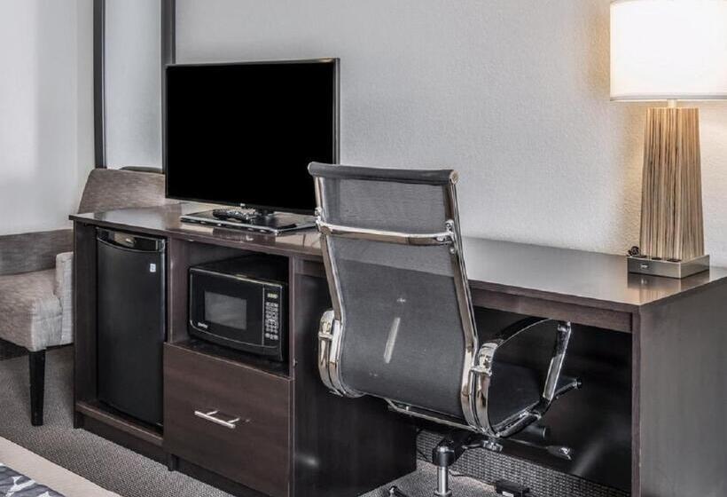 اتاق استاندارد با تخت بزرگ, Sleep Inn Pasco Tri  Cities