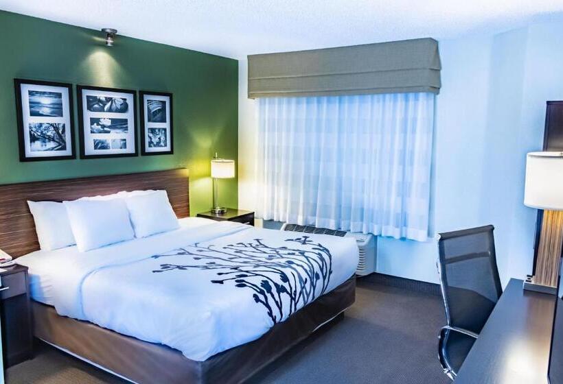 اتاق استاندارد با تخت بزرگ, Sleep Inn Pasco Tri  Cities