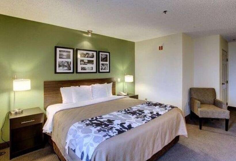 اتاق استاندارد با تخت بزرگ, Sleep Inn Pasco Tri  Cities
