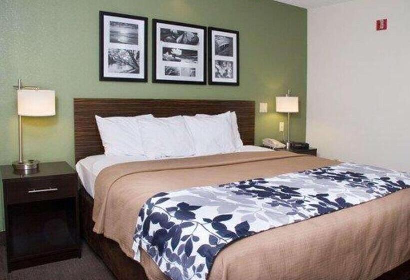 اتاق استاندارد با تخت بزرگ, Sleep Inn Pasco Tri  Cities