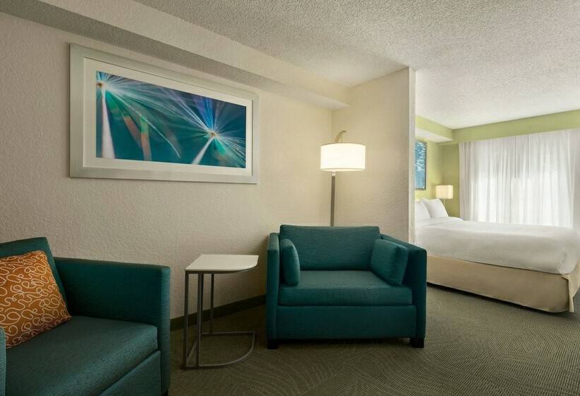 Люкс, Springhill Suites Boca Raton