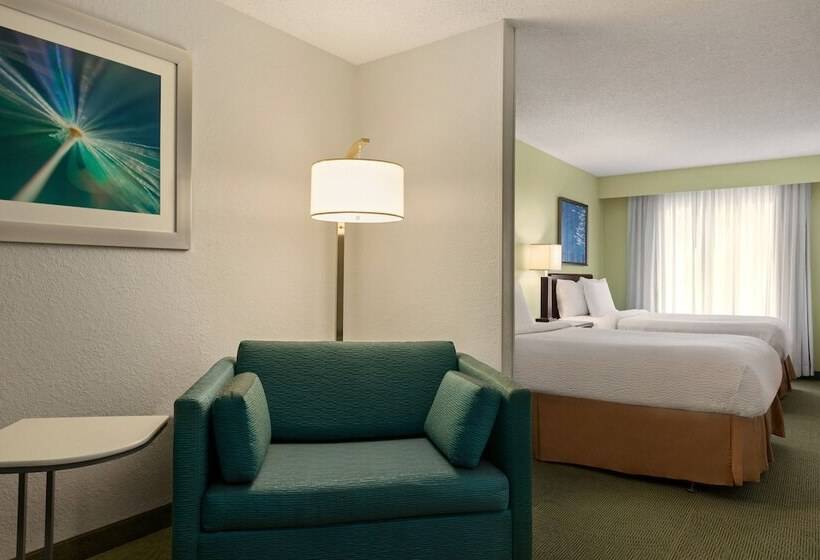 Люкс, Springhill Suites Boca Raton
