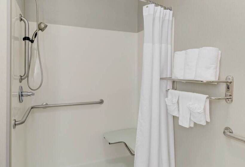 Suite, Springhill Suites By Marriott Memphis East Galleria