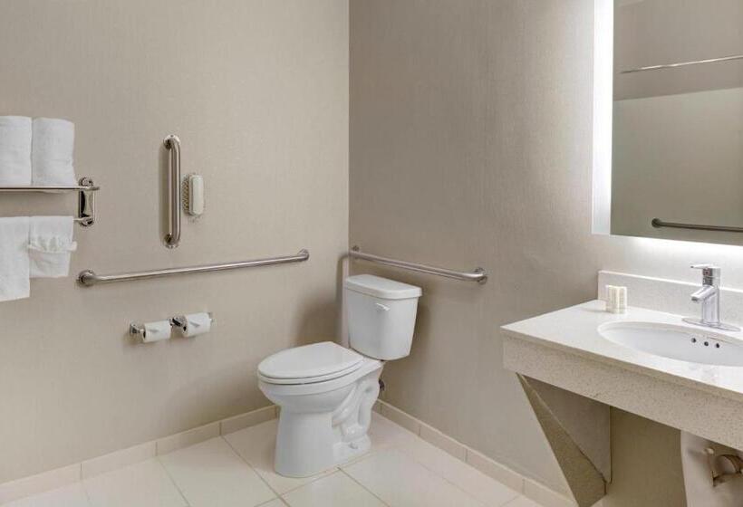Suite Letto King, Springhill Suites By Marriott Memphis East Galleria