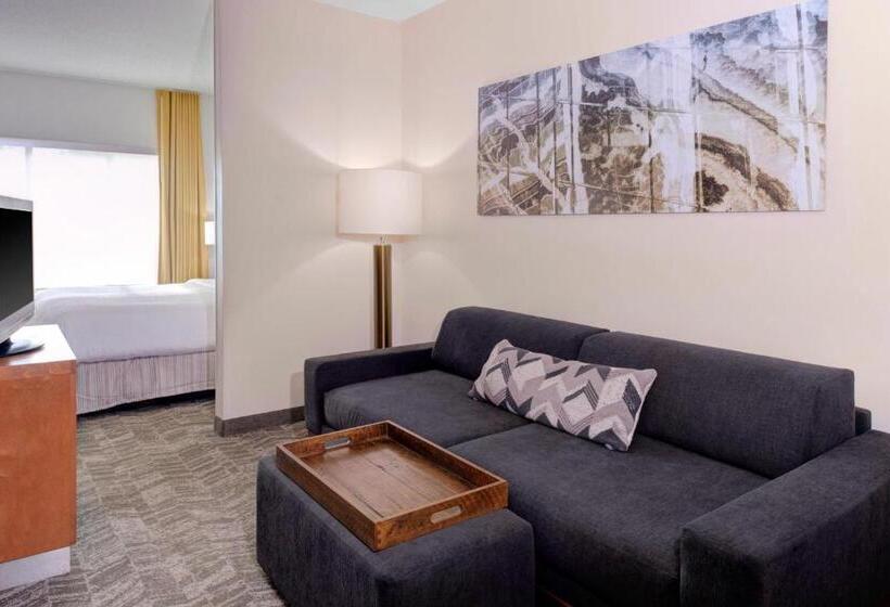 Suite Letto King, Springhill Suites By Marriott Memphis East Galleria