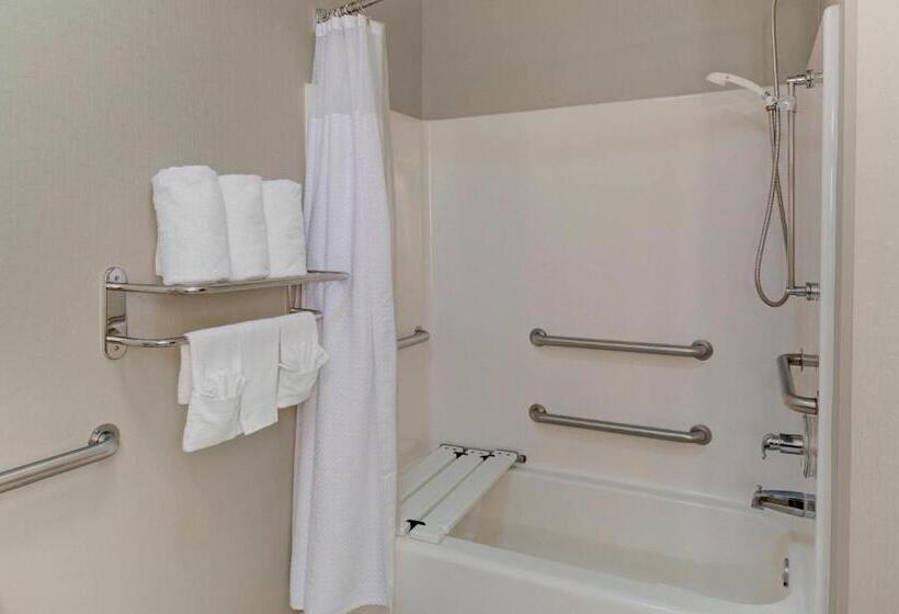 Suite, Springhill Suites By Marriott Memphis East Galleria