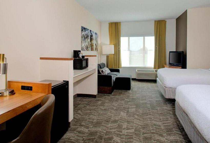 Suite, Springhill Suites By Marriott Memphis East Galleria