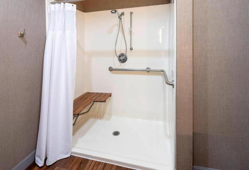 Студио Стандарт Кровать Кинг, Springhill Suites Rochester Mayo Clinic Area/saint Marys