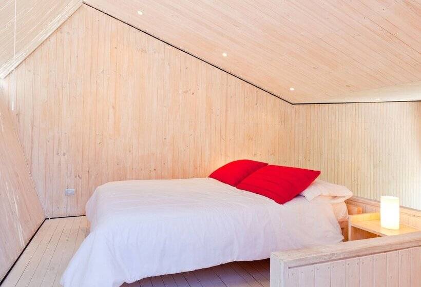 اتاق استاندارد, Milodge Elqui Domos